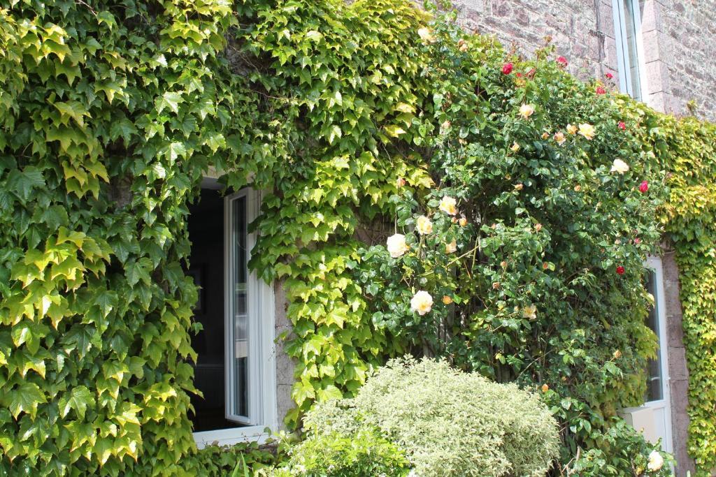 Auberge L'Air De Vent Fréhel Kültér fotó
